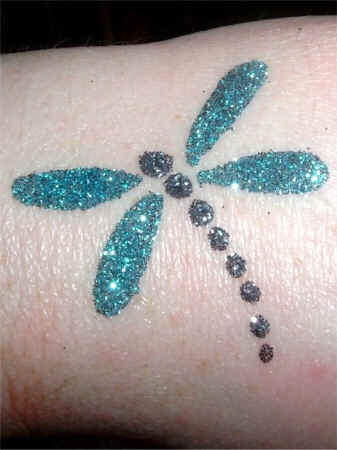 DragonflyPlain.JPG (96984 bytes)