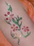 All Face Painting, Body Painting, and Special Effects Images on this site are Copyright@Cool Faces.