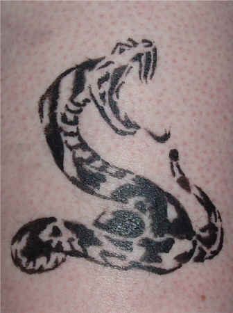 Snake.JPG (111300 bytes)