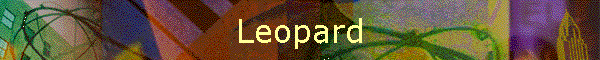 Leopard