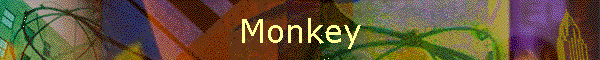 Monkey