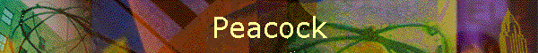 Peacock