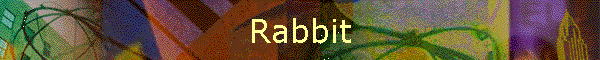 Rabbit