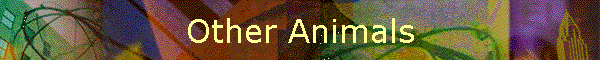 Other Animals