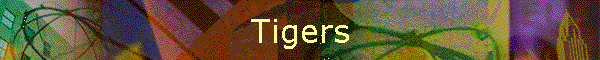 Tigers