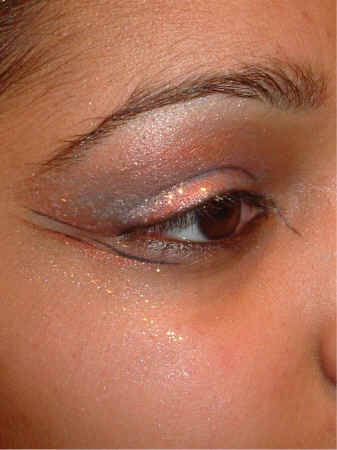 detDarkPeach2.JPG (112545 bytes)