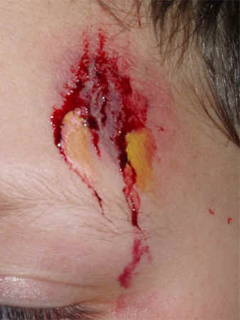 Special_Effects_TempleGrazeDetail.JPG (88636 bytes)